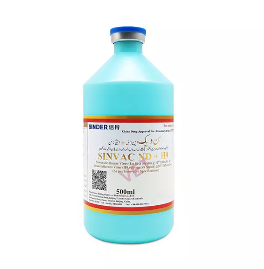 ما هي الطريقة الأكثر شيوعًا للمرض؟