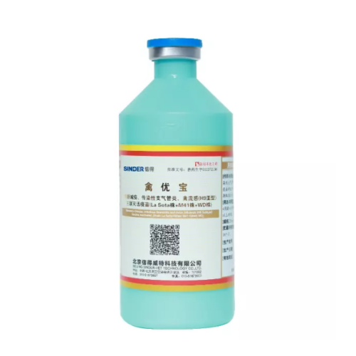 ما هو اللقاح الأفضل للدجاج؟