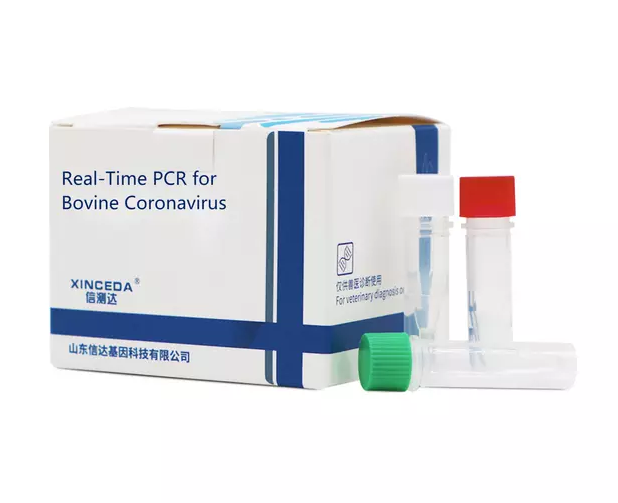 الكشف عن فيروس مرض نيوكاسل (NDV) باستخدام PCR