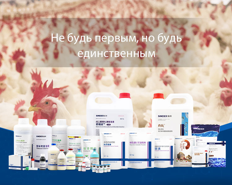 دور الطب في صيانة صحة الماشية