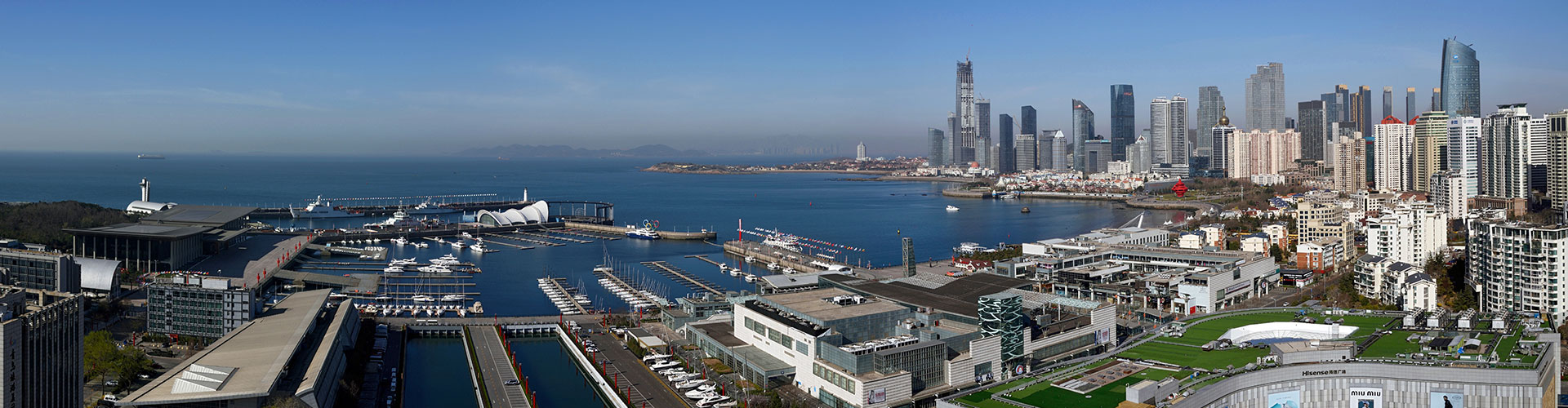 طب الدواجن العضوي ، الشركة المصنعة لقاح حمى الخنازير