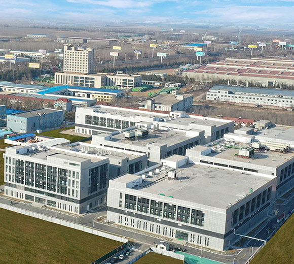 لقاح الخنازير ، طب الدواجن - Sinder